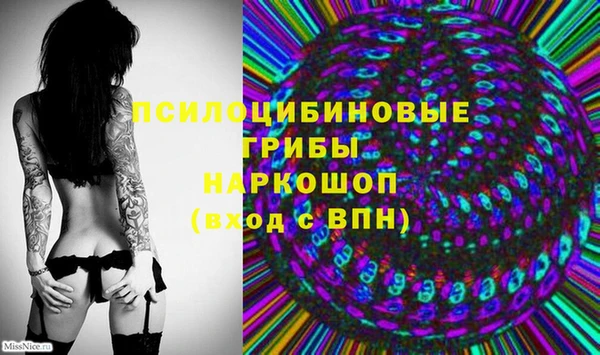 мдпв Абаза