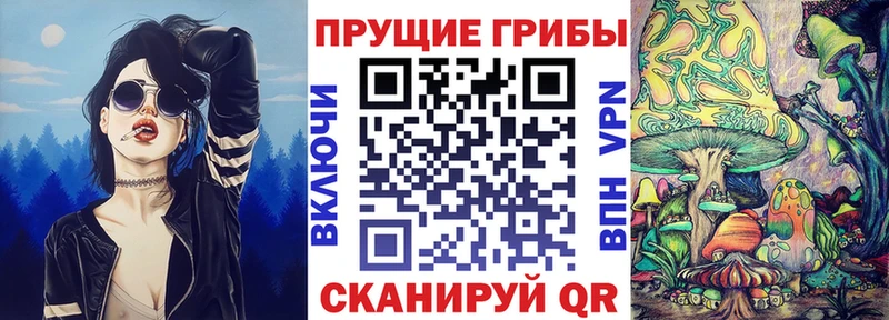 Псилоцибиновые грибы GOLDEN TEACHER  omg ссылки  Трубчевск 